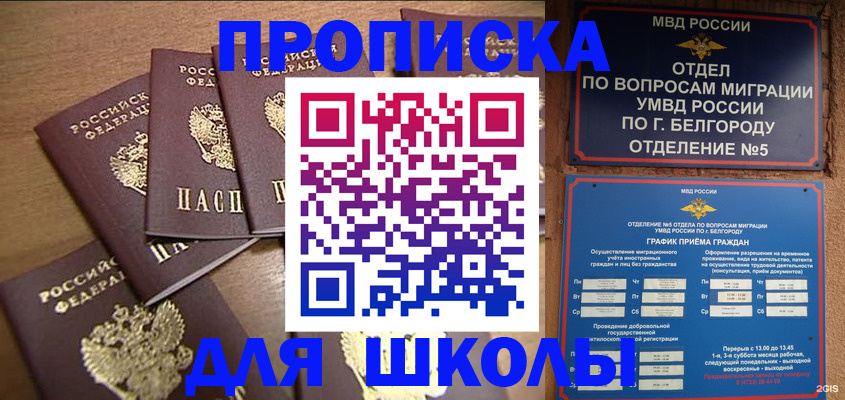 прописка гарантия в Торопеце
